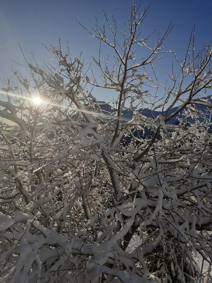Huterhof Apt Wiesengrund 2 Riobianco Екстер'єр фото